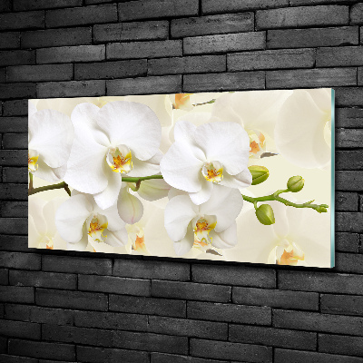 Foto glasbild Orchidee