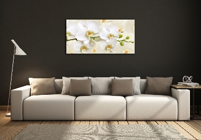 Foto glasbild Orchidee