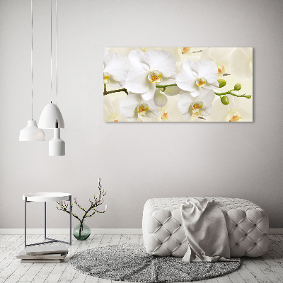 Foto glasbild Orchidee