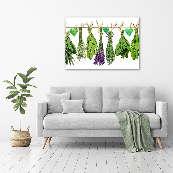 Bild auf glas Kräuter an einer Schnur