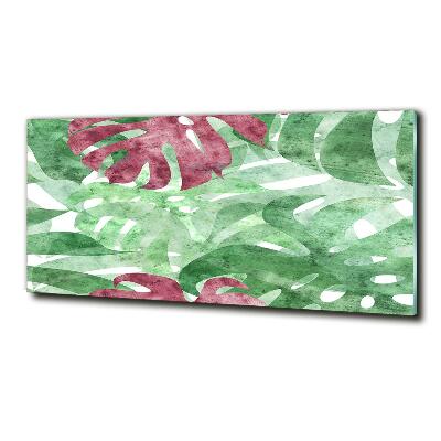 Bild auf glas Monstera