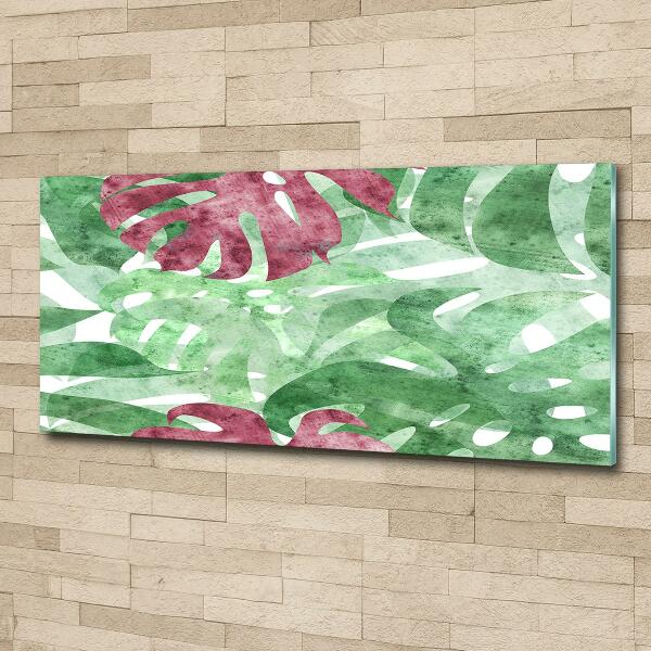 Bild auf glas Monstera