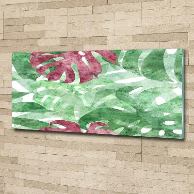 Bild auf glas Monstera