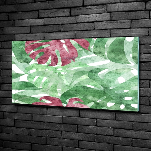 Bild auf glas Monstera