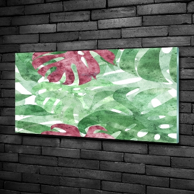 Bild auf glas Monstera