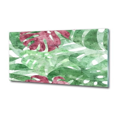 Bild auf glas Monstera