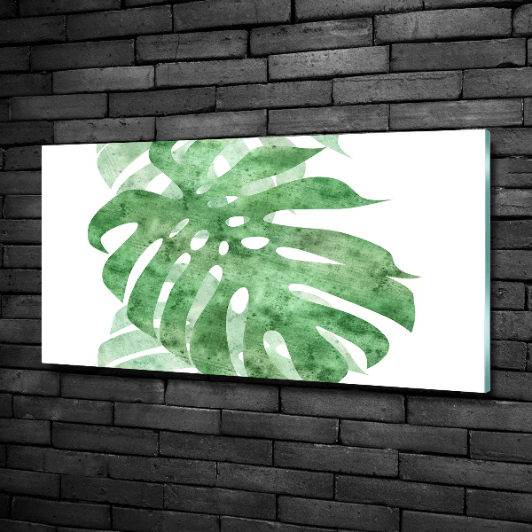 Glasbild Monstera