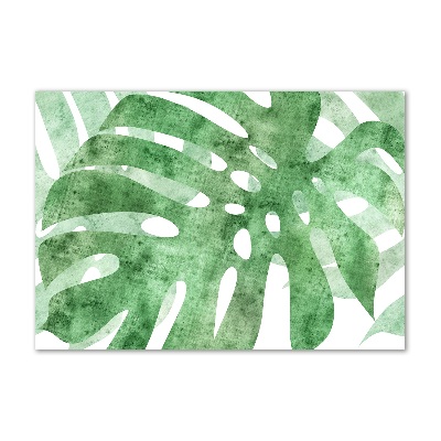 Glasbild Monstera