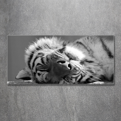 Bild auf glas Schlafender Tiger
