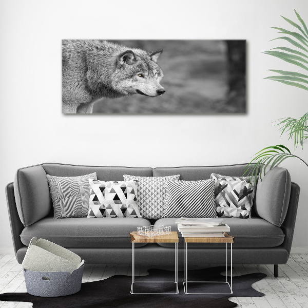 Foto glasbild Grauer Wolf