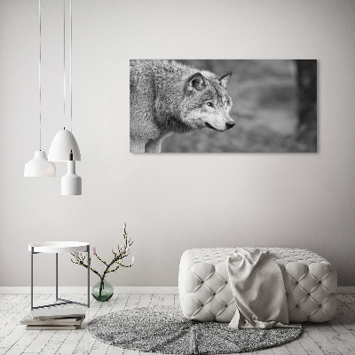 Foto glasbild Grauer Wolf