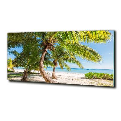 Glasbild Tropischer Strand