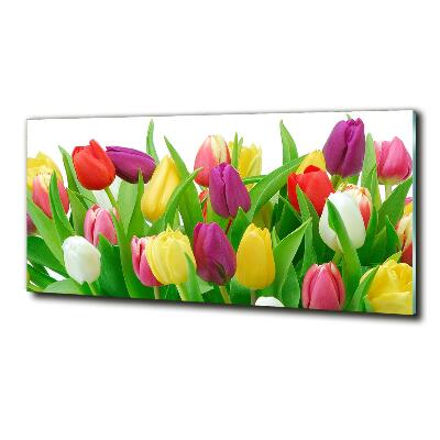 Glasbild Bunte Tulpen