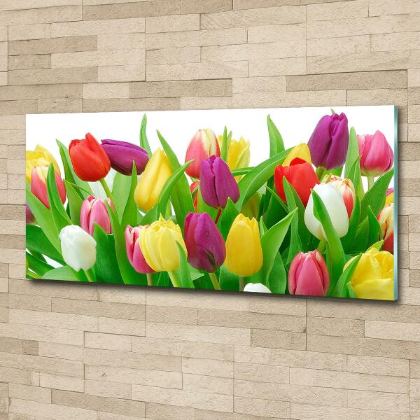 Glasbild Bunte Tulpen