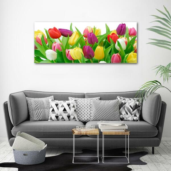 Glasbild Bunte Tulpen