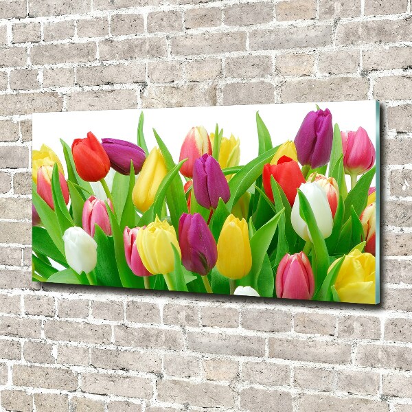 Glasbild Bunte Tulpen