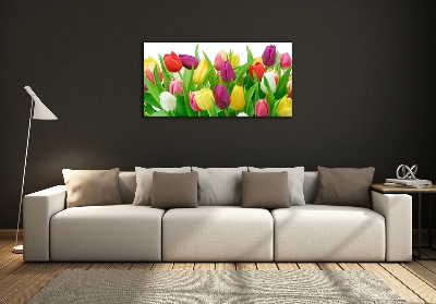 Glasbild Bunte Tulpen