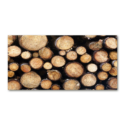 Bild auf glas Holzstämme