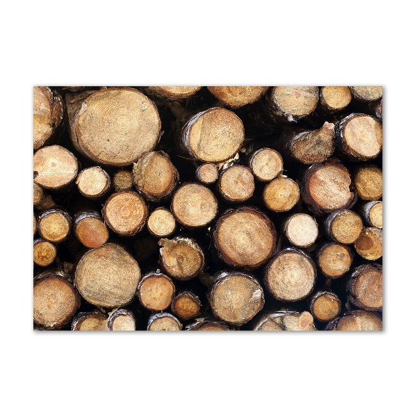 Bild auf glas Holzstämme