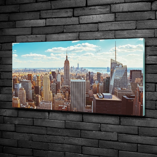 Bild auf glas New York aus der Vogelperspektive