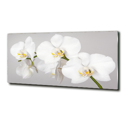 Glasbild Orchidee