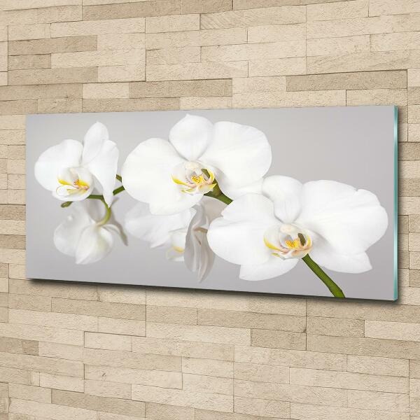 Glasbild Orchidee