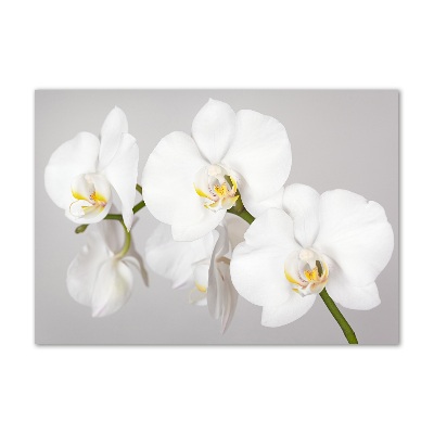 Glasbild Orchidee