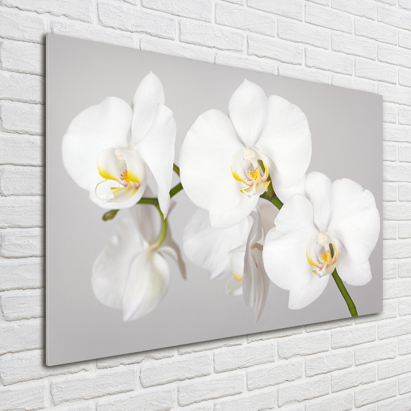 Glasbild Orchidee