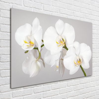 Glasbild Orchidee