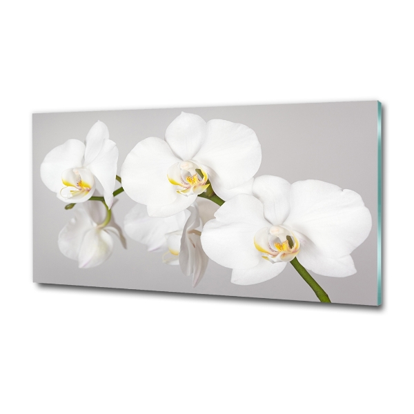 Glasbild Orchidee