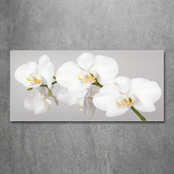 Glasbild Orchidee