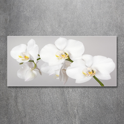 Glasbild Orchidee