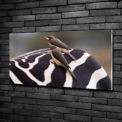 Glasbild Vögel und Zebras