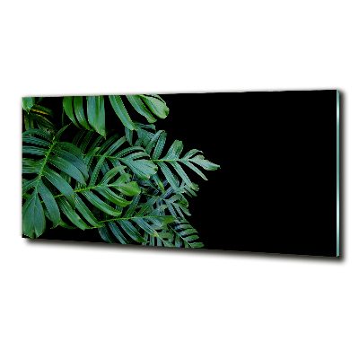 Glasbild Monstera