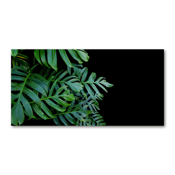 Glasbild Monstera