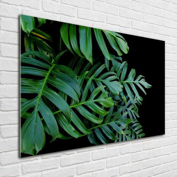 Glasbild Monstera