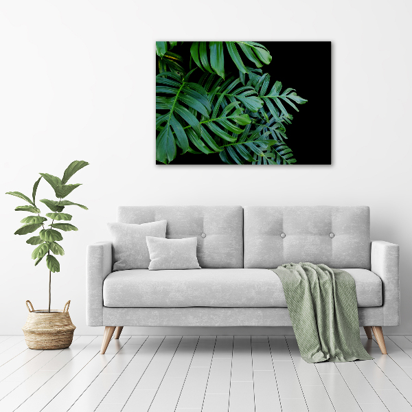 Glasbild Monstera