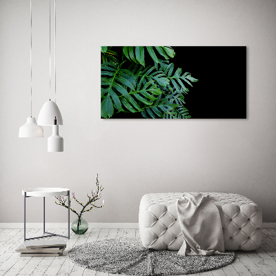 Glasbild Monstera
