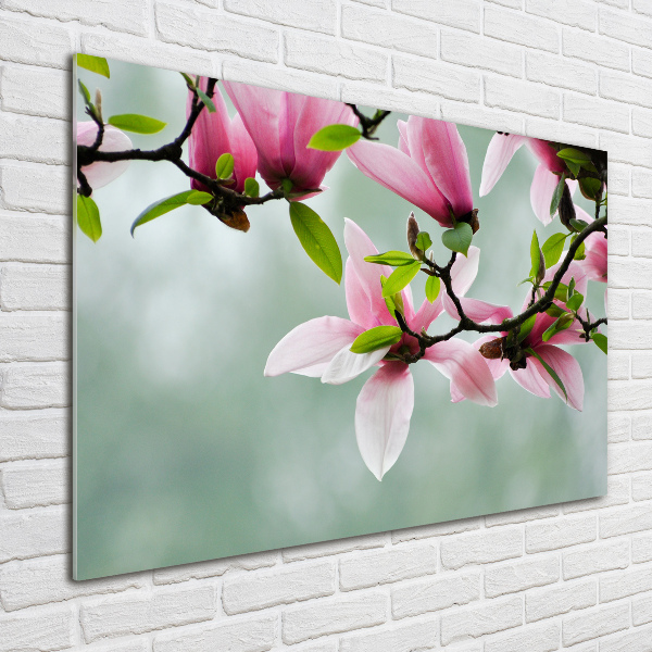 Foto glasbild Magnolie