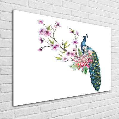 Foto glasbild Pfau und Blumen