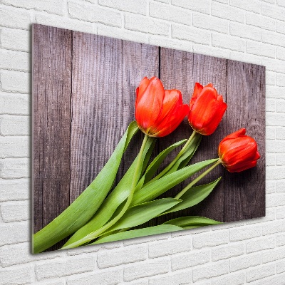 Bild auf glas Rote Tulpen