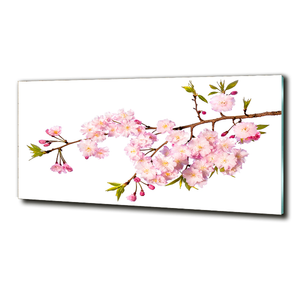 Foto glasbild Dornen