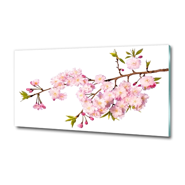 Foto glasbild Dornen