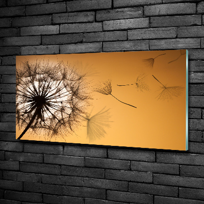 Bild auf glas Löwenzahn