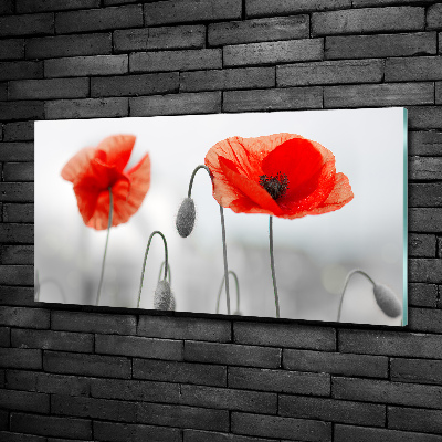 Glasbild Mohnblumen