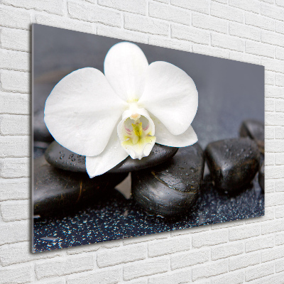 Foto glasbild Orchidee