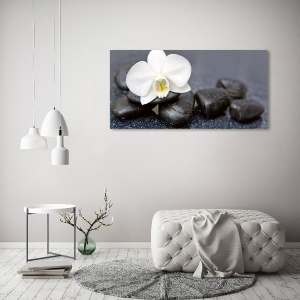 Foto glasbild Orchidee