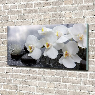 Foto glasbild Orchidee