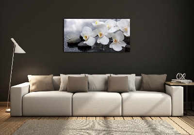 Foto glasbild Orchidee