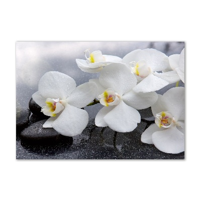 Foto glasbild Orchidee